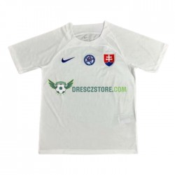 Slovensko Venkovní Dres Euro 2024 Krátký rukáv Muže Fotbalové Dresy