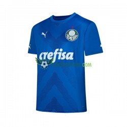 Palmeiras Brankářské Domácí Dres 2023-2024 Krátký rukáv Muže Fotbalové Dresy