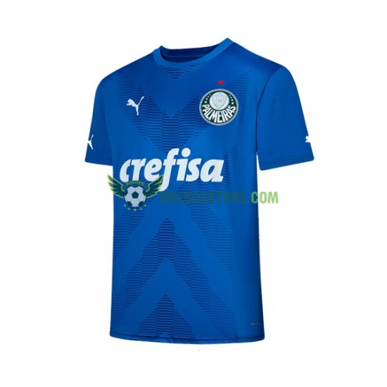 Palmeiras Brankářské Domácí Dres 2023-2024 Krátký rukáv Muže Fotbalové Dresy