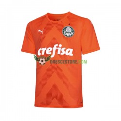 Palmeiras Brankářské Alternativní Dres 2022-2023 Krátký rukáv Muže Fotbalové Dresy