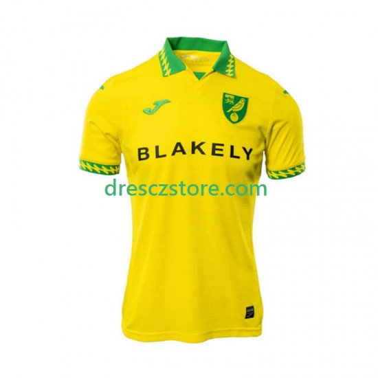 Norwich City Domácí Dres 2025-2026 Krátký rukáv Muže Fotbalové Dresy