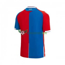 Crystal Palace Domácí Dres 2023-2024 Krátký rukáv Muže Fotbalové Dresy