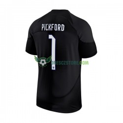 Anglie Pickford 1 Brankářské Domácí Dres MS ve fotbale 2022 Krátký rukáv Muže Fotbalové Dresy