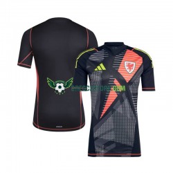 Wales Brankářské Domácí Dres 2024 Krátký rukáv Muže Fotbalové Dresy